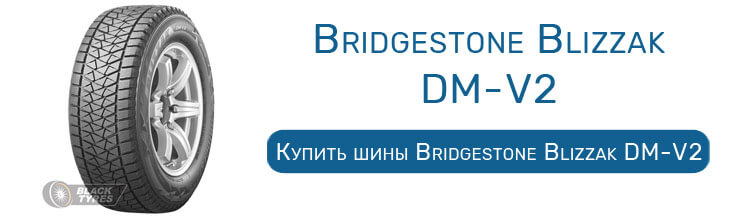Bridgestone Blizzak DM-V2