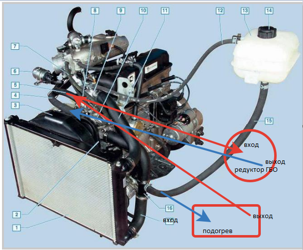 Система охлаждения газель бизнес 4216 схема. Система охлаждения Газель 400. Система охлаждения двигателя УМЗ-4216 евро 4. Система охлаждения двигателя УМЗ 4216 евро 3. Система охлаждения двигателя УМЗ 4216 евро 3 Газель бизнес.
